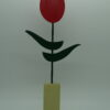 Tulipe rouge