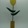 Tulipe jaune