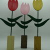 Tulipes