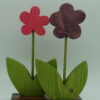 Duo de fleurs